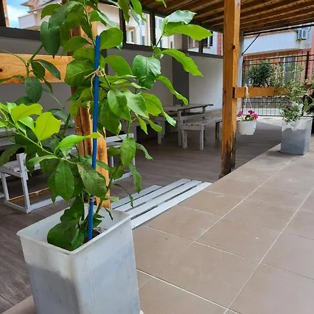 佩特罗维旅馆 招待所